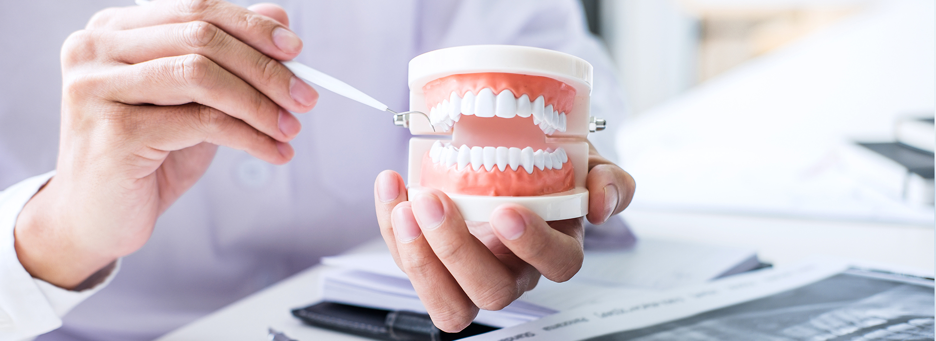An individual holding a cup with a tooth model inside, possibly in a dental office or related setting.