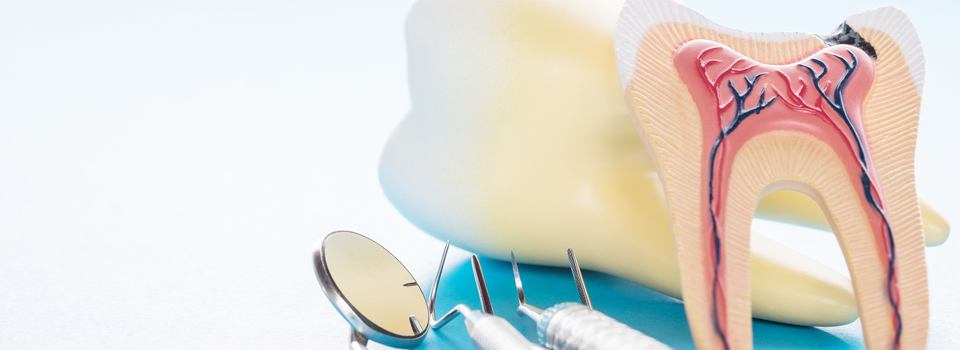 The image shows a close-up of dental instruments, including a toothbrush and dental floss, with an overlay of a tooth model illustrating the proper brushing technique.